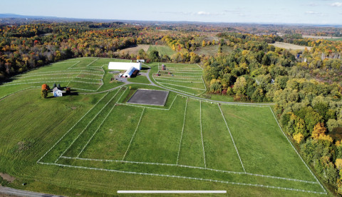 Visit Friendship Equestrian Center