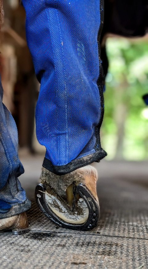 Visit Onacona Farrier Service, LLC