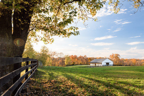 Visit Field Board on Beautiful 125 Acre Farm in Northern Virginia