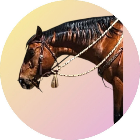 Visit Barrett Farrier Service Steve Barrett CJF