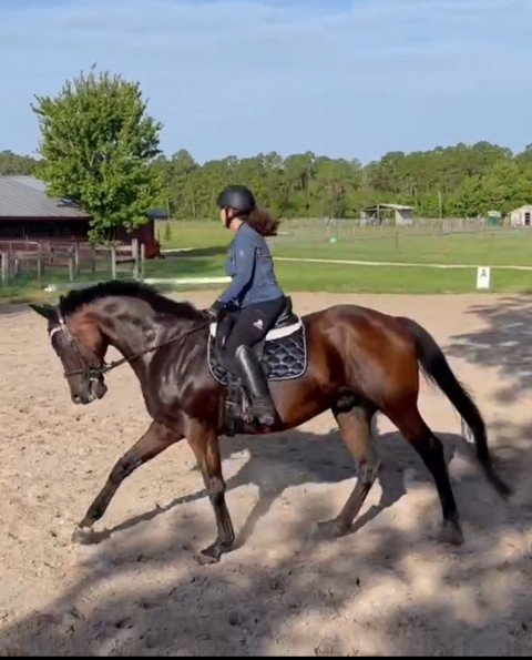 Visit Dressage loving OYT