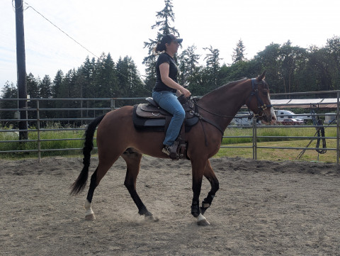 Visit Alpine Equestrian