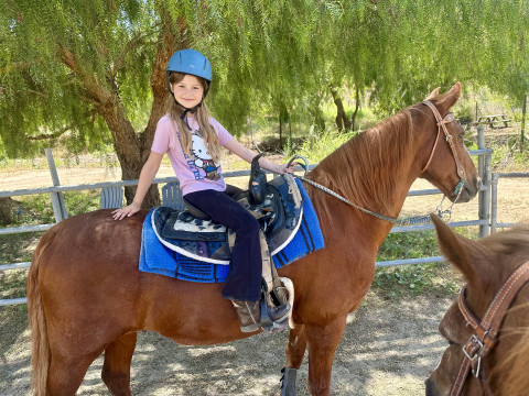 Visit MW Performance Horses