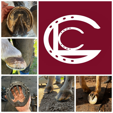 Visit Craddock Farrier Service