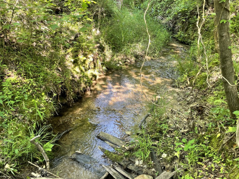 Visit +/- 7.8 Acres – Tract 1 on Clatworthy Road in Honea Path, SC