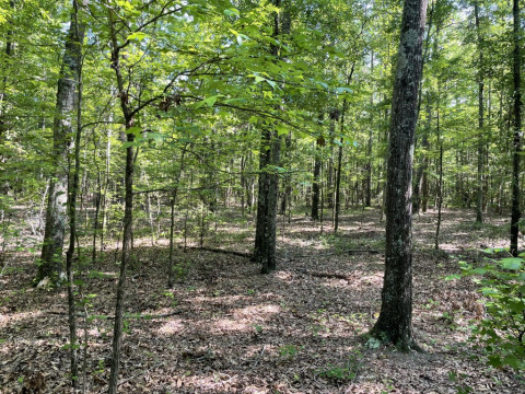 Visit +/-8.22 Acres – Tract 2 on Clatworthy Road in Honea Path, SC
