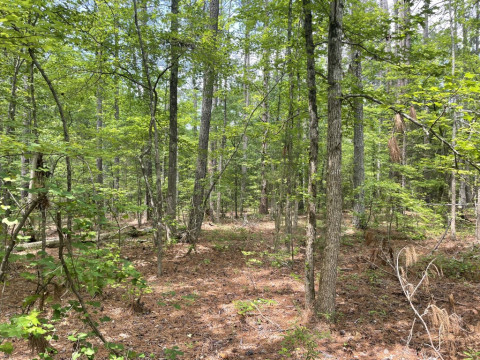Visit +/- 8.79 Acres – Tract 4 On Clatworthy Road in Honea Path, SC