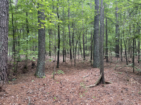 Visit +/- 6.46 Acres – Tract 5 On Clatworthy Road in Honea Path, SC