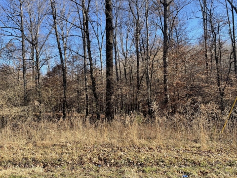 Visit +/- 27.00 acres – Welcome Church Road – Westminster, SC