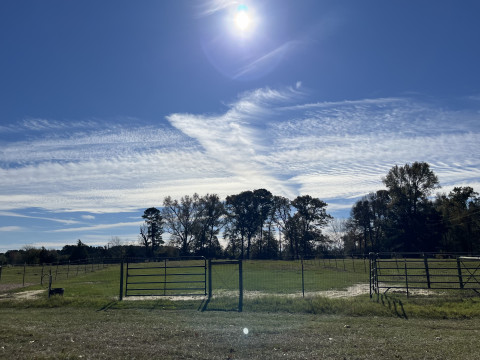 Visit Texas Hearts & Hooves Boarding