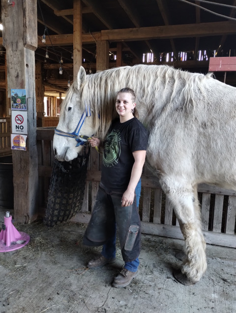 Visit Mare-It Farrier