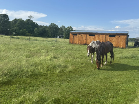 Visit Scenic Alexandria, NH Stable
