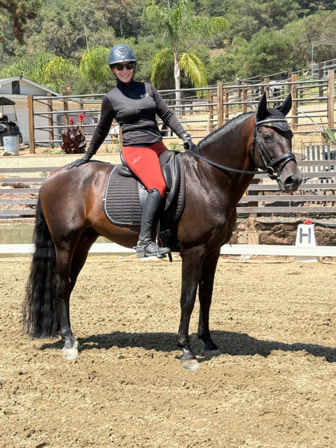 Visit Kimberly monk dressage