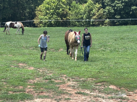 Visit Pine Ridge Stables
