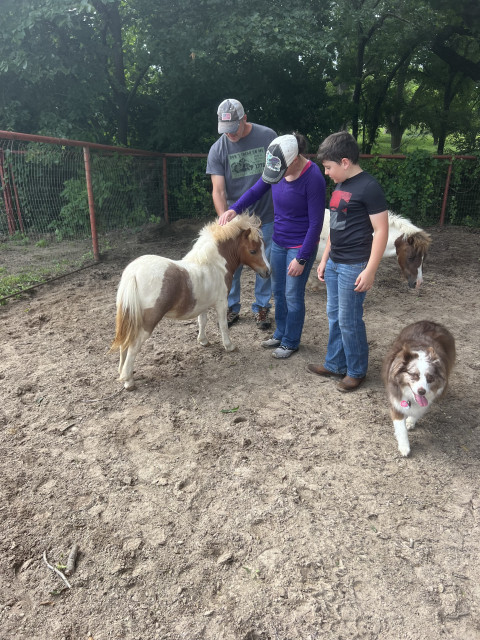 Visit Mini Horses