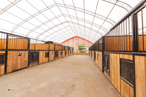 Visit Full Care Horse Boarding at Blue Sky Acres in SE Pennsylvania