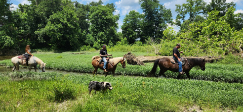 Visit Zfarmzstables