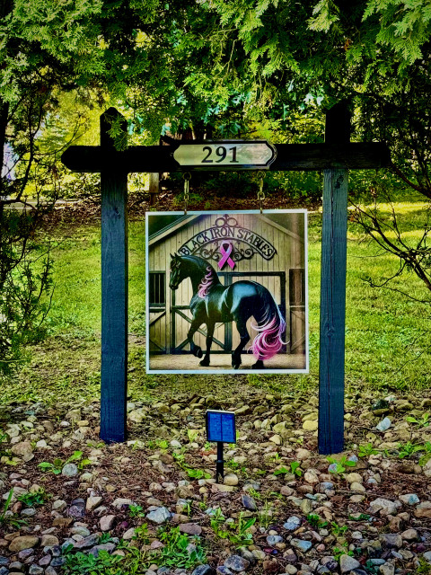 Visit Black Iron Stables