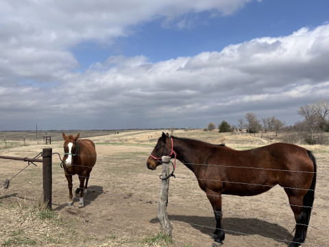Visit Horseshoeing by Jason Eure