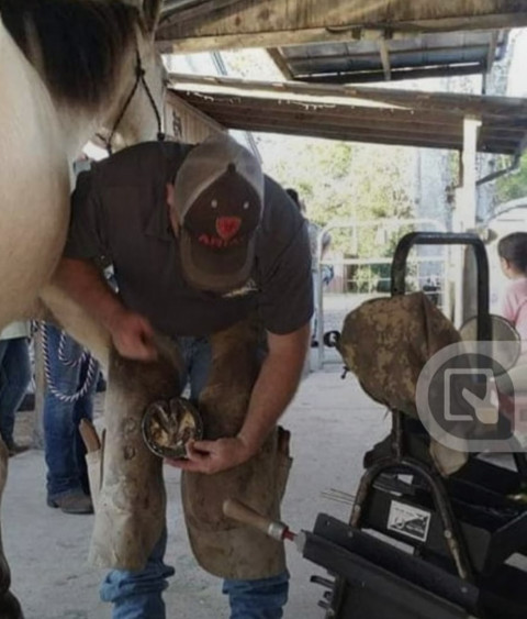 Visit Horseshoeing by Jason Eure leave all info and phone numbers or email