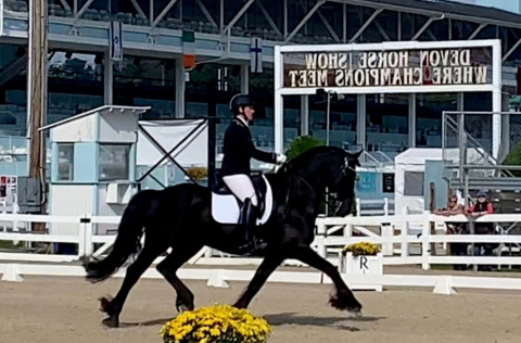 Visit Bertholf Dressage