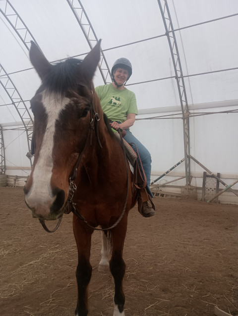 Visit Evergreen Stables