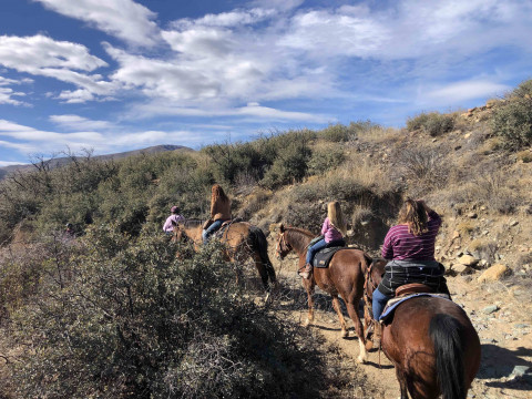 Visit Horseback  adventure!