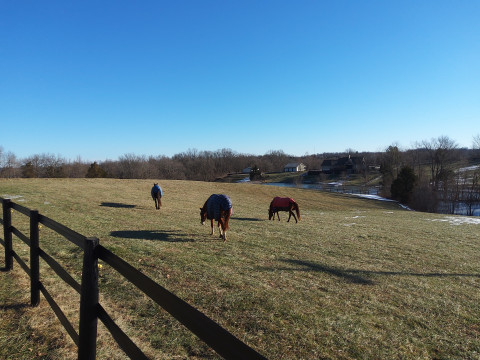 Visit 8 Maples Farm