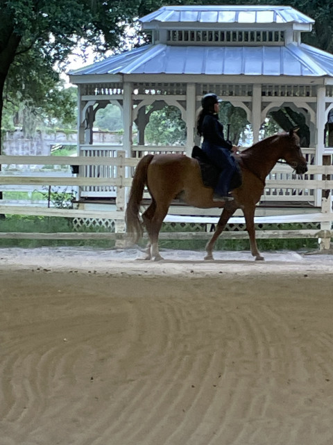 Visit Orange Clover Farms Equestrian Center LLC