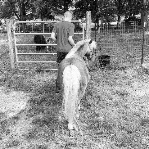 Visit Honest Desires Farm