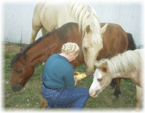Visit Natural Barefoot Farrier