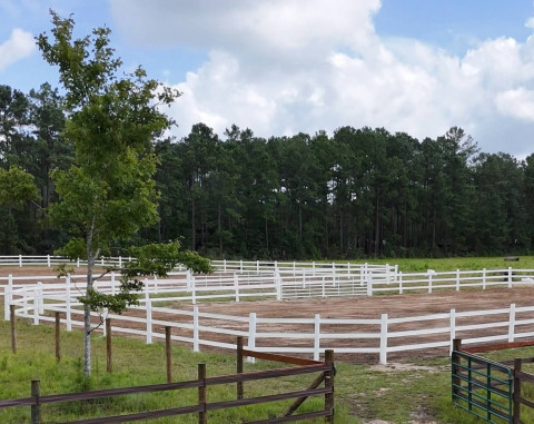 Visit Mustang Alley Ranch