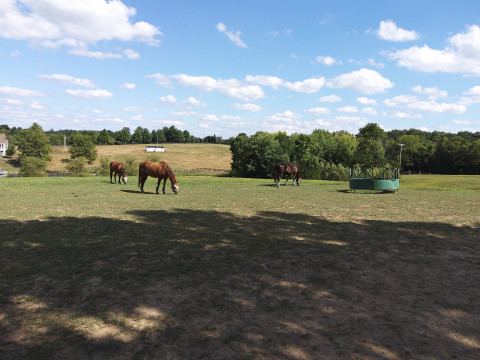 Visit 8 Maples Farm