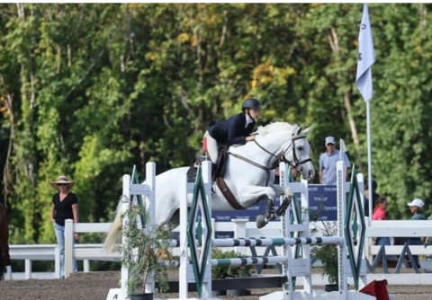 Visit Westside Stables LLC
