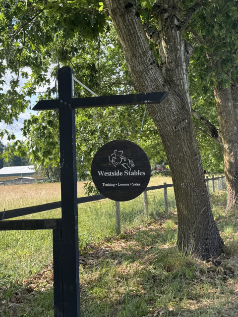 Visit Hunter jumper training and boarding