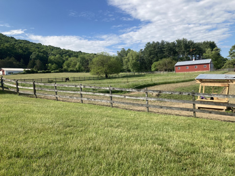 Visit Full Circle Track Horse Boarding