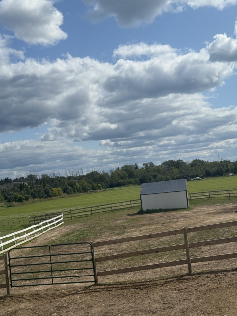 Visit Iron Brand Farm