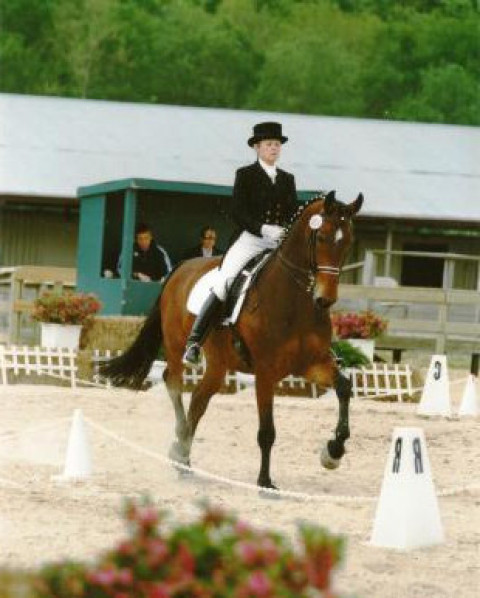 Visit Debbie Bowman Dressage